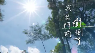 我家門前樹倒了