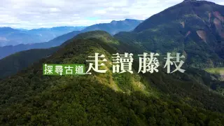 【探尋古道】藤枝國家森林遊樂區 慢遊南台灣祕境
